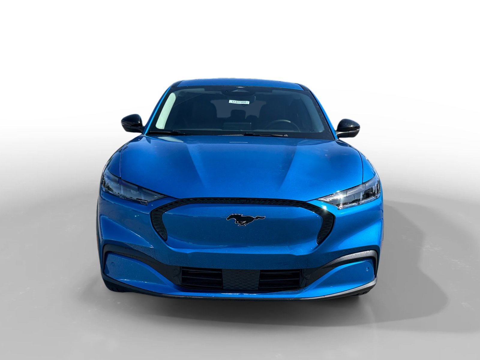 New 2026 Velocity Blue Metallic Ford Select image 8