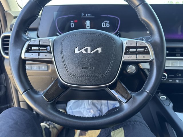 Used 2025 Panthera Metal Kia S image 23