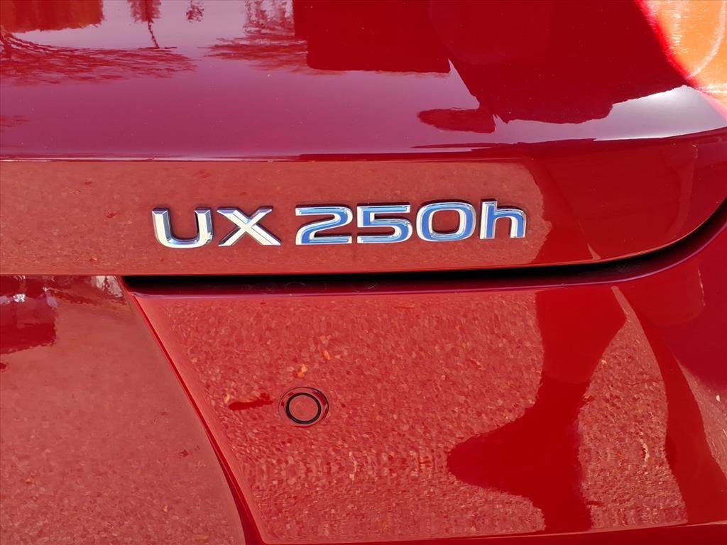 Used 2022 Red Lexus UX 250h image 7