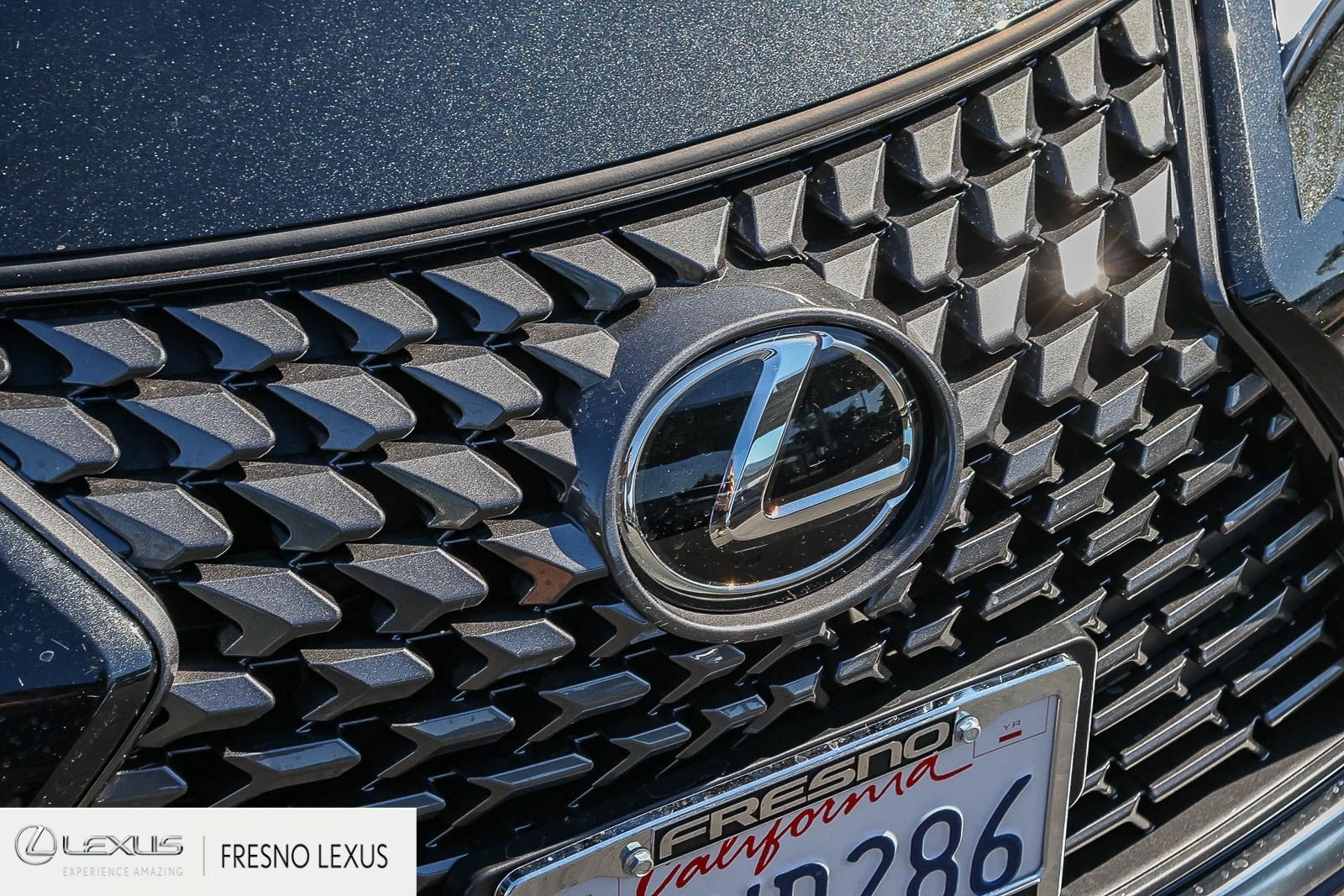 Certified Used 2025 Black Lexus 300h image 11