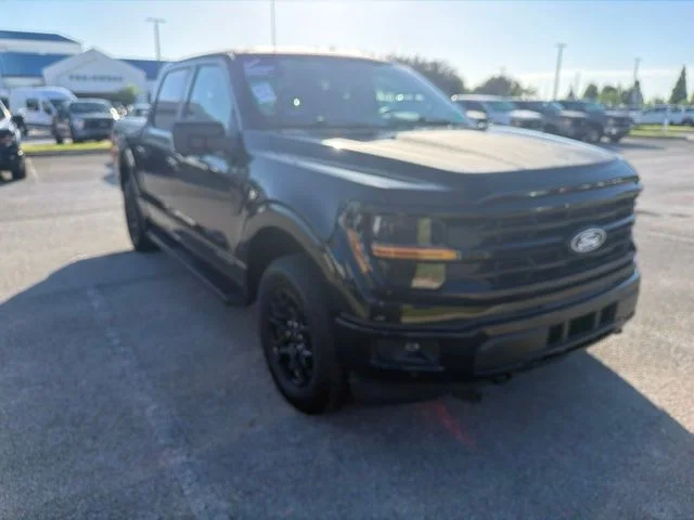 Used 2024 Black Ford XLT image 3