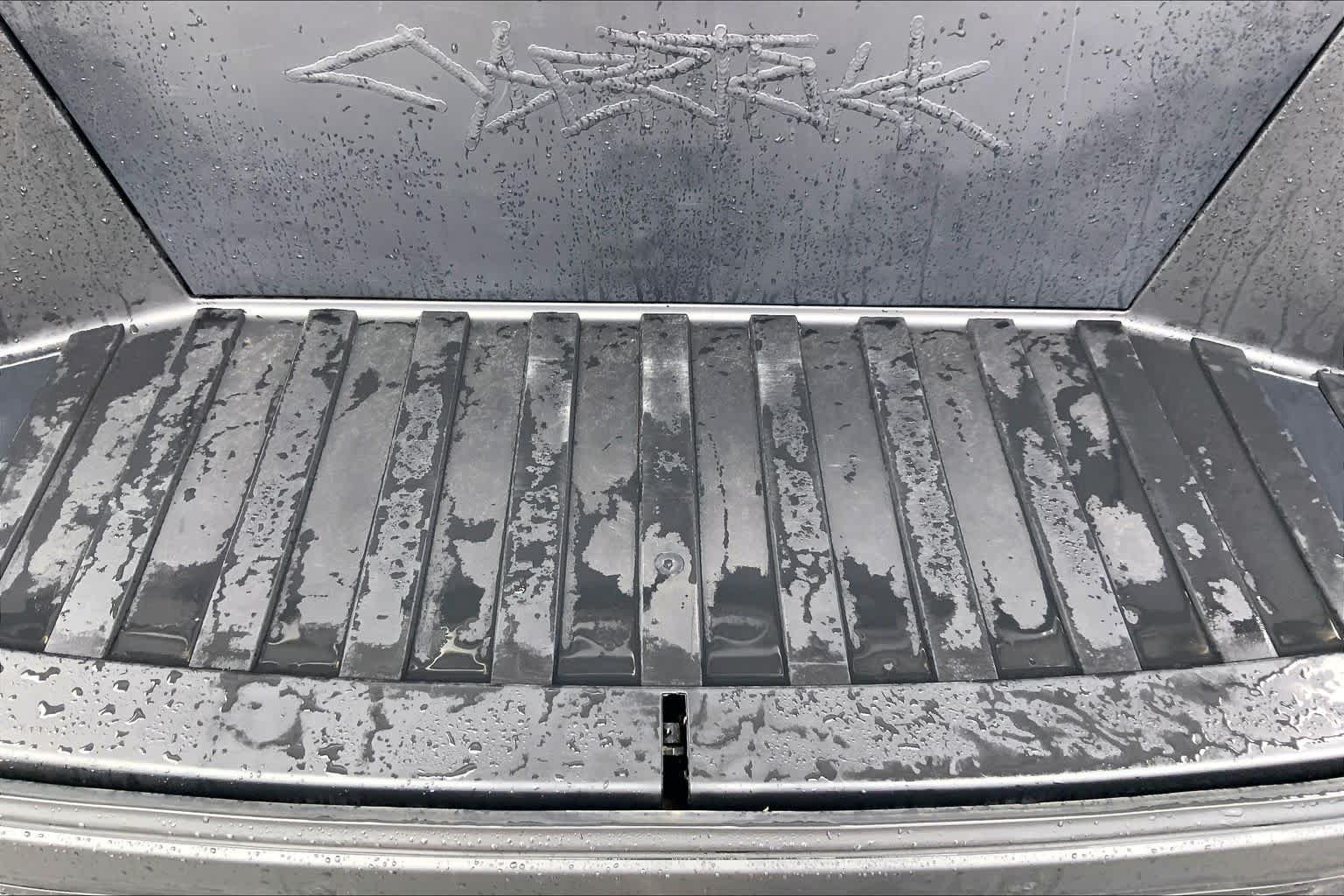 Used 2025 Ultra-Hard Stainless Steel Tesla  image 32