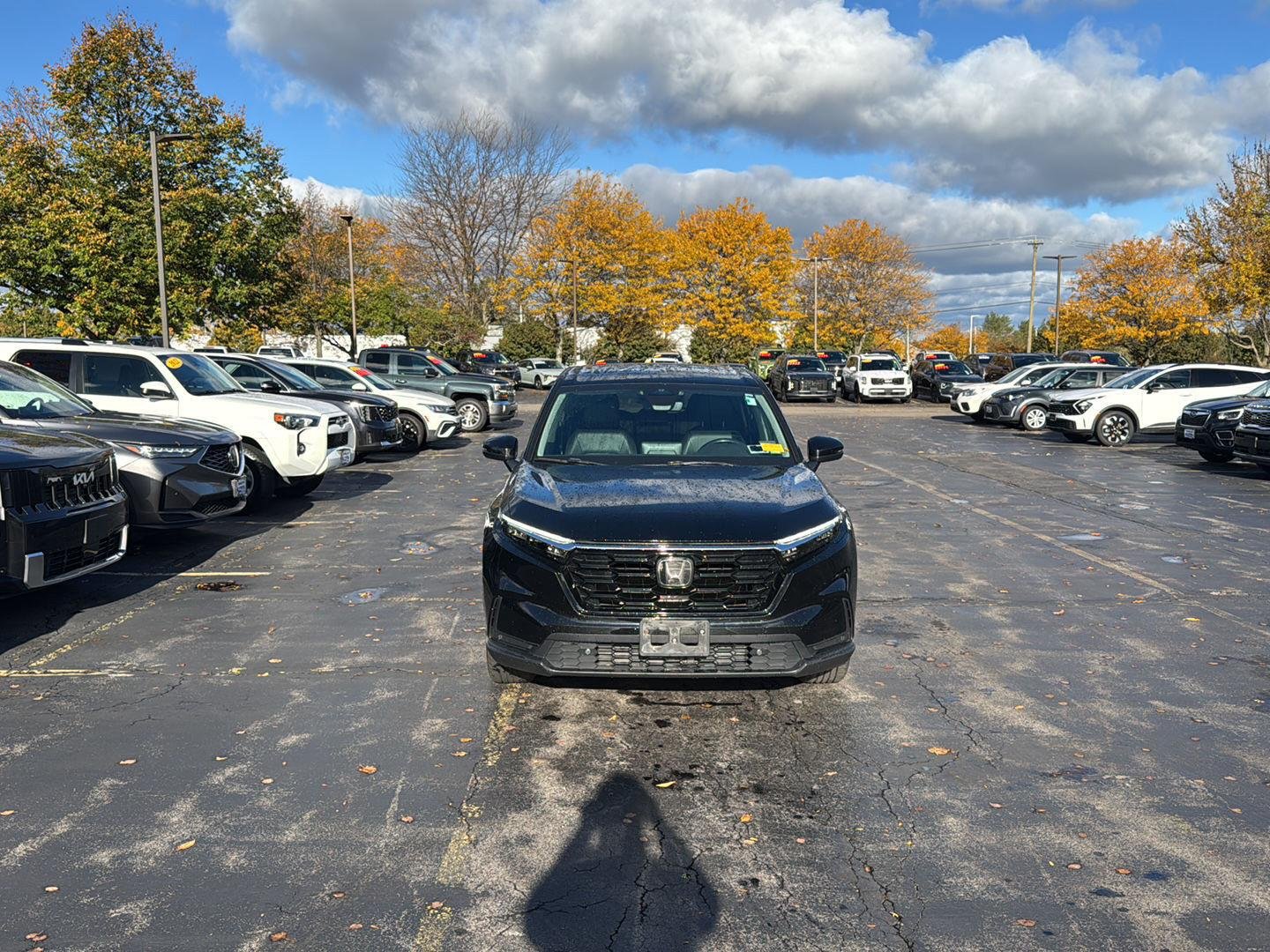 Used 2024 Crystal Black Pearl Honda EX-L image 4