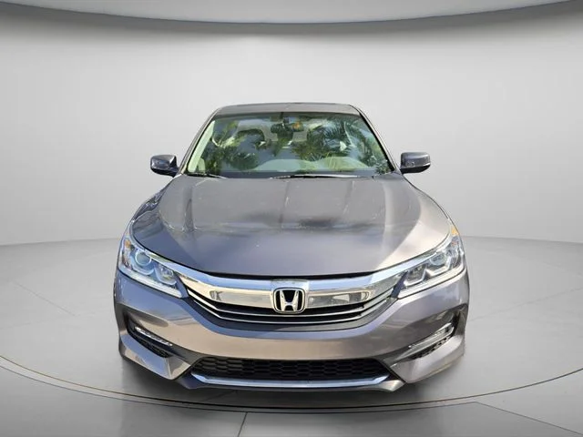 Used 2017 Gray Honda EX-L image 3