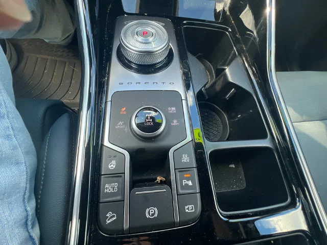 Certified Used 2025 Blue Kia SX Prestige image 18