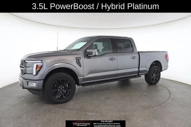 Used 2025 Gray Ford Platinum image 3