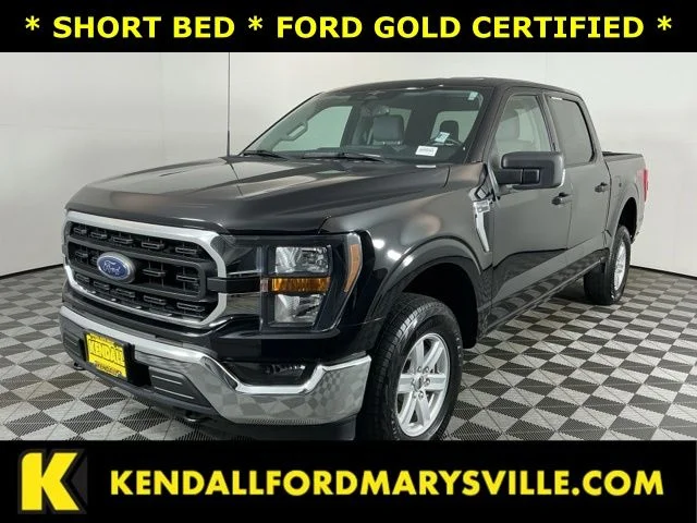 2023 Ford F-150 XLT 4x4 SuperCrew 145 in's photo