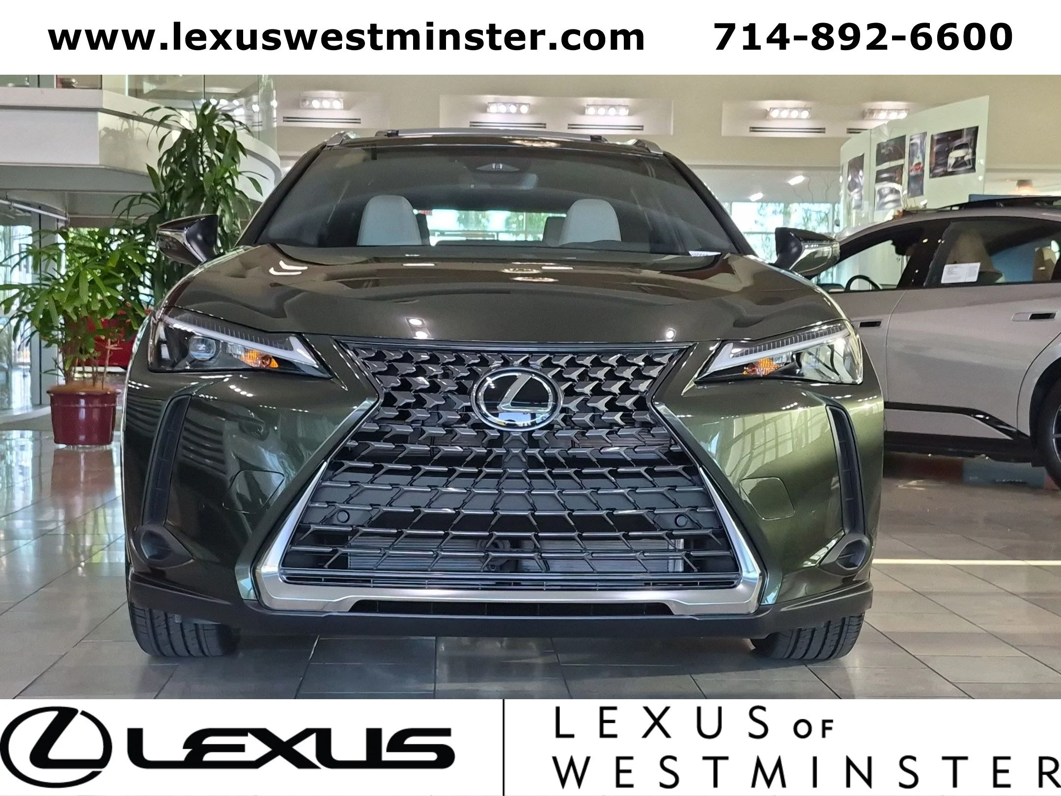 New 2026 Nori Green Pearl Lexus UX 300h PREMIUM image 2