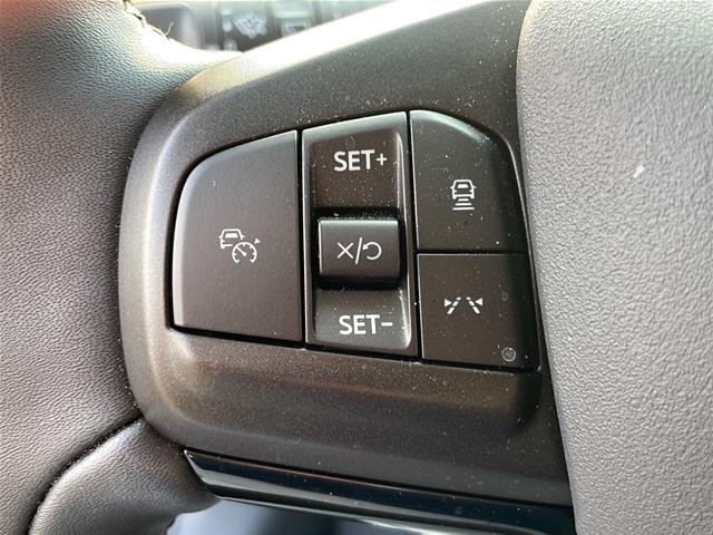 Used 2025 Star White Ford Premium image 49