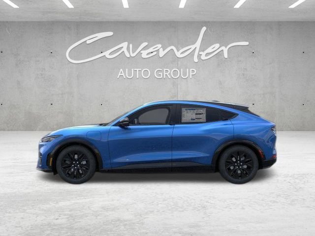 New 2026 Velocity Blue Metallic Ford Premium image 4