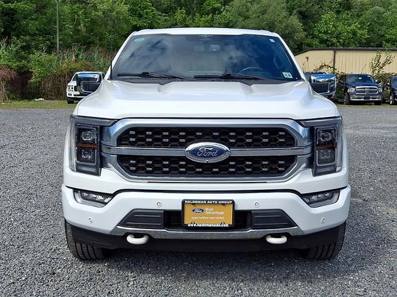 Used 2023 Star White Metallic Tri-Coat Ford Platinum image 2
