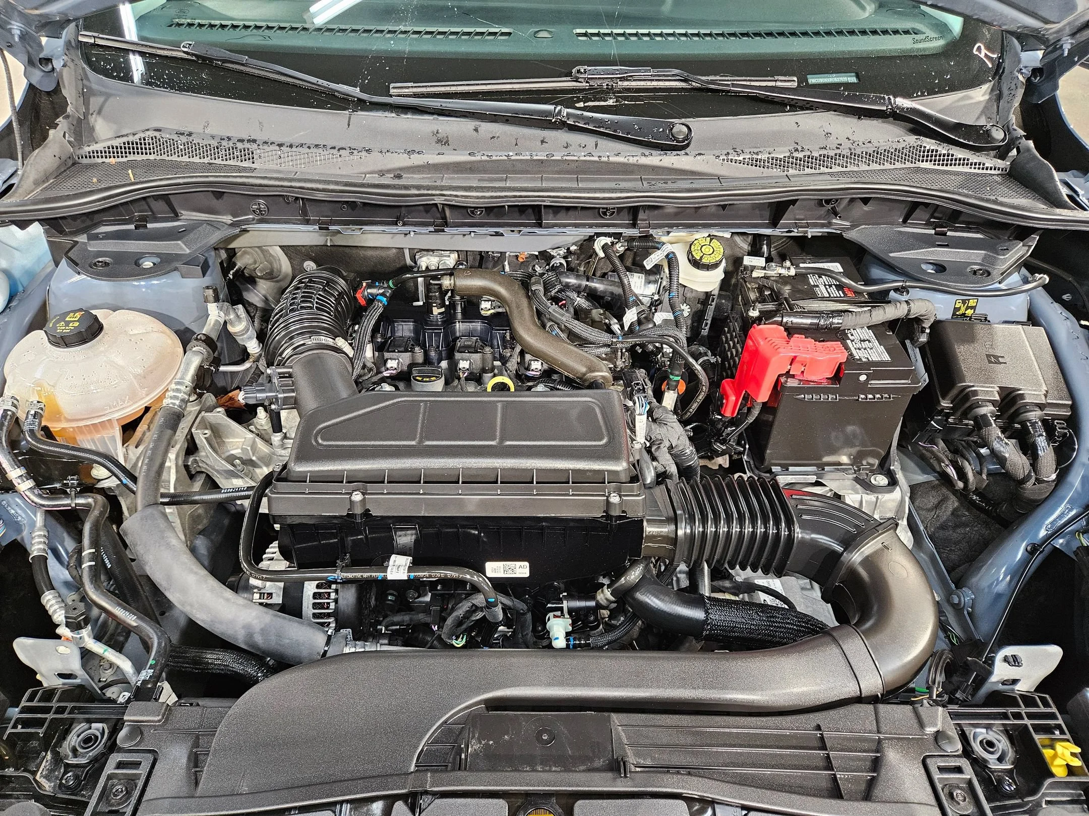 Used 2024 Vapor Blue Metallic Ford Active image 19