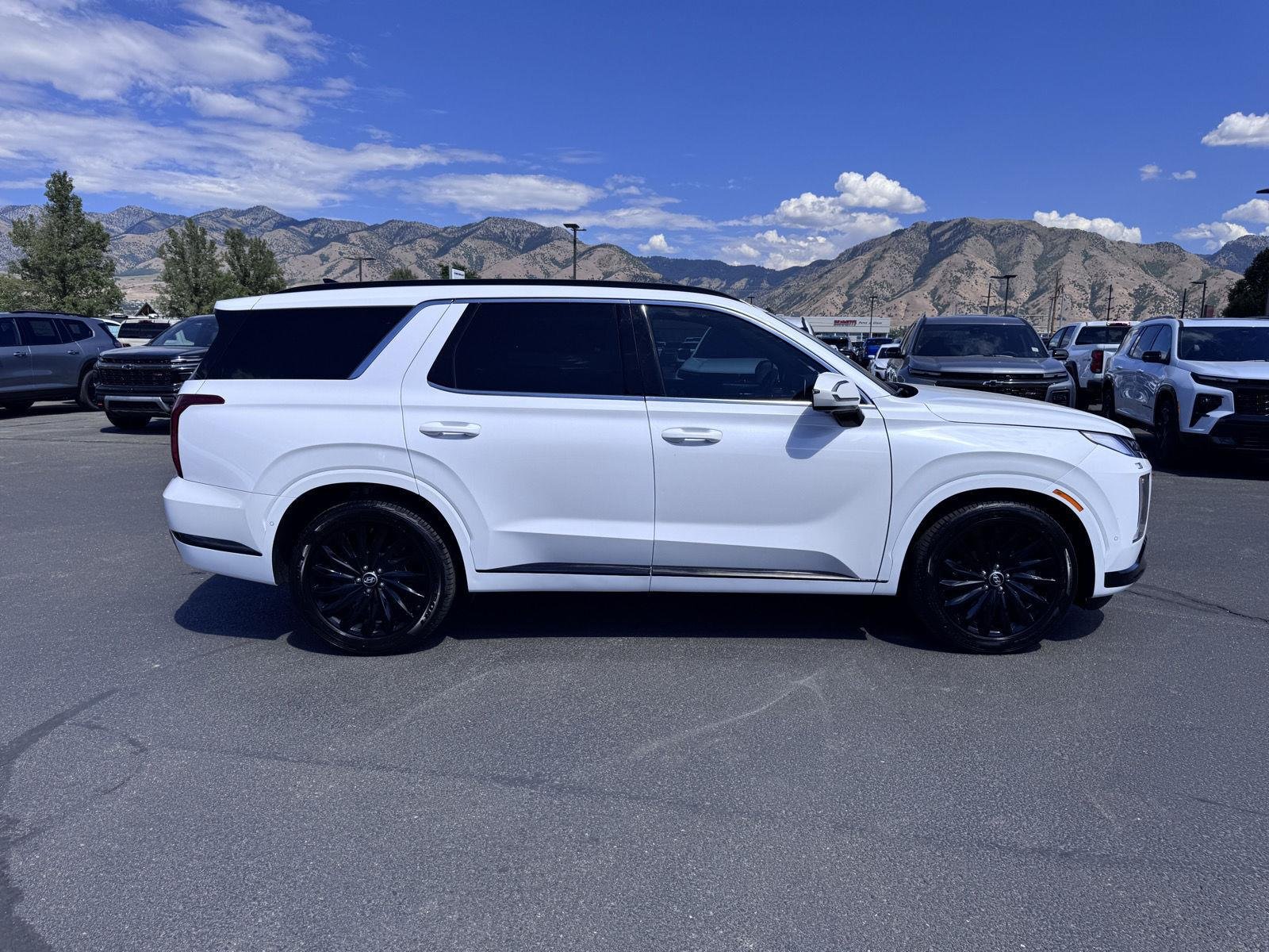 2025 Hyundai Palisade Calligraphy Night Edition - Photo 6