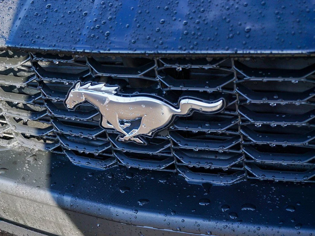 New 2026 Black Ford EcoBoost Premium image 4