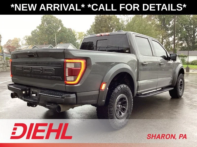2021 Ford F-150 Raptor - Photo 7