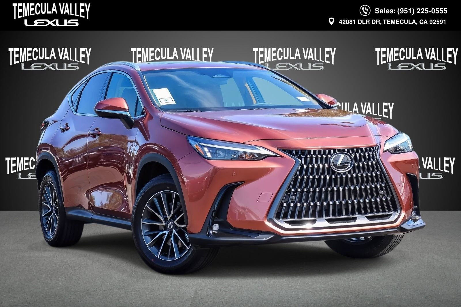 NX | Temecula Valley Lexus