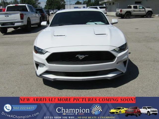 1FA6P8TH7J5146198