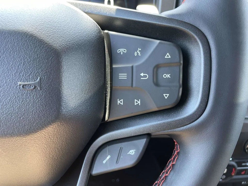 New 2026 Avalanche Gray Ford Raptor image 23
