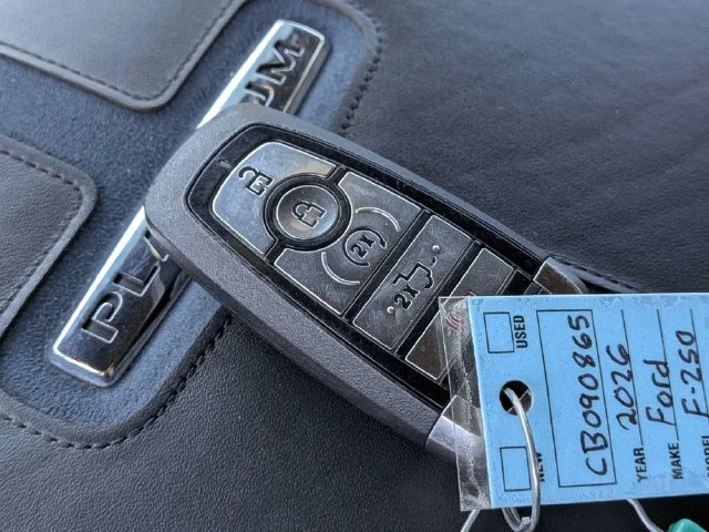 Used 2026 Gray Ford Platinum image 29
