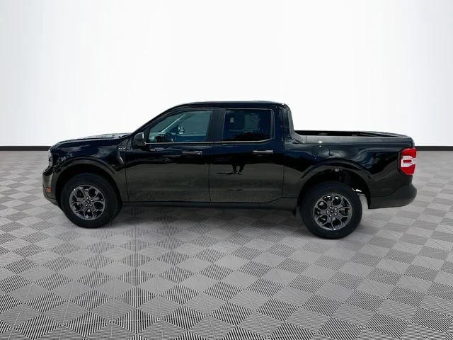 New 2026 Shadow Ford XLT image 3