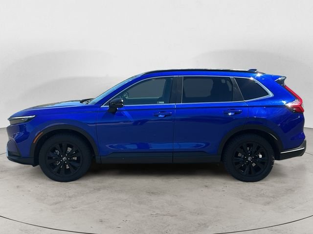 Used 2024 Blue Honda Sport Touring image 2
