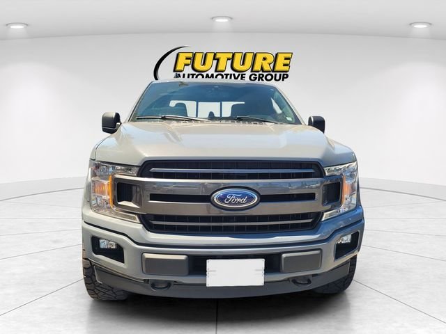 Used 2019 Black Ford XLT image 2