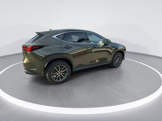 2024 Lexus NX 250 - Photo 8