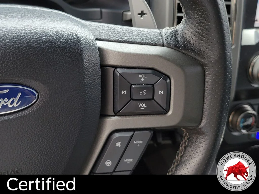 Used 2019 Black Ford Raptor image 31