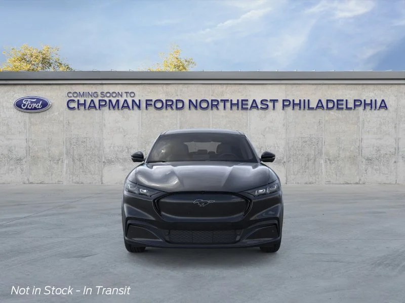 New 2026 Shadow Black Ford Premium image 6
