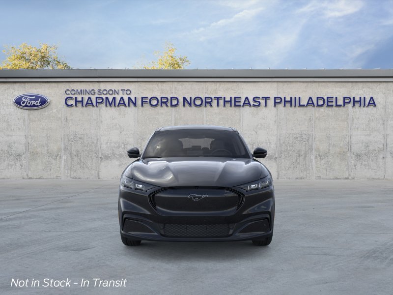 New 2026 Shadow Black Ford Premium image 6