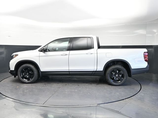 New 2026 Platinum White Pearl Honda Black Edition image 8