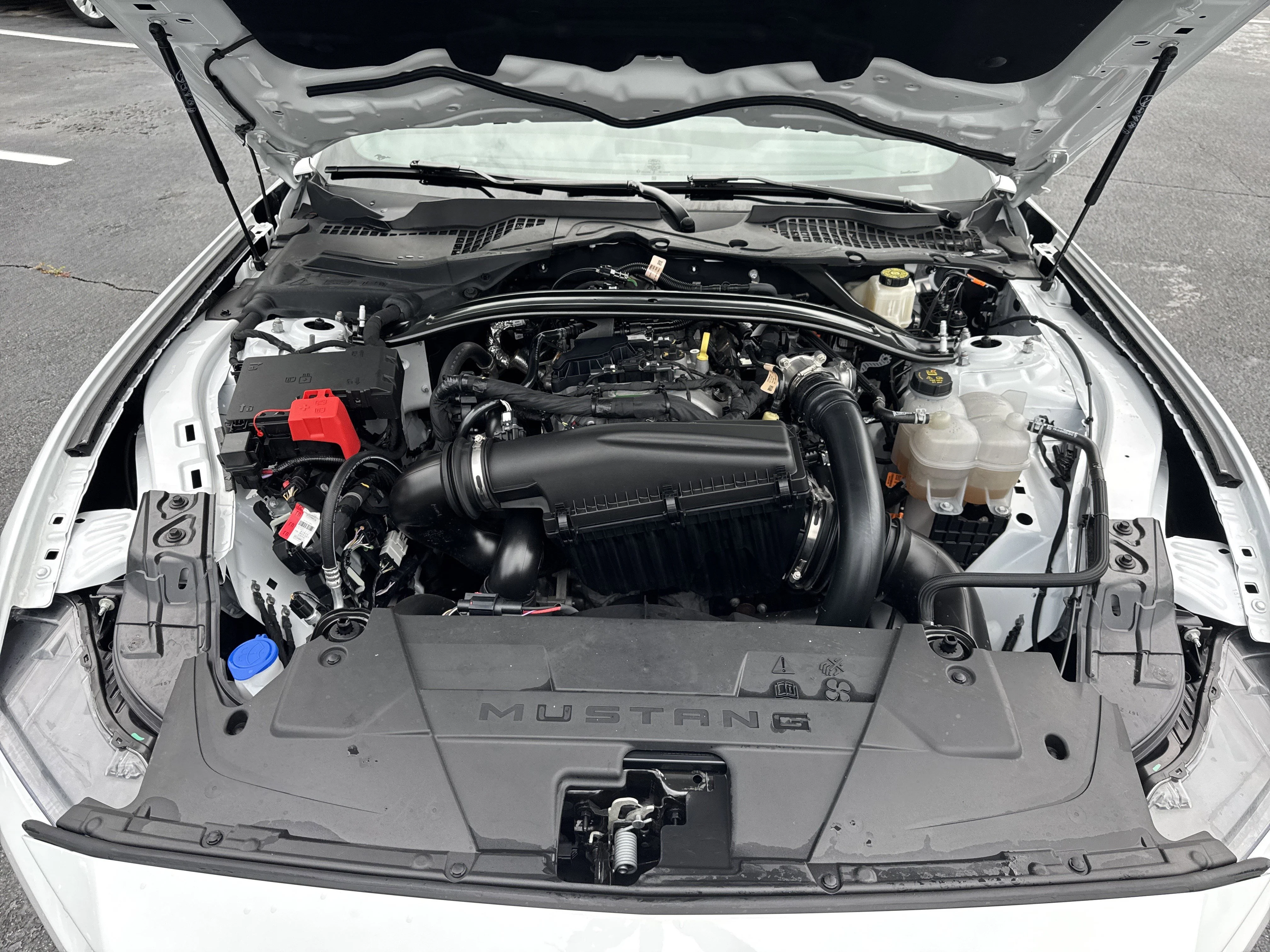 Used 2025 Oxford White Ford EcoBoost Premium image 30