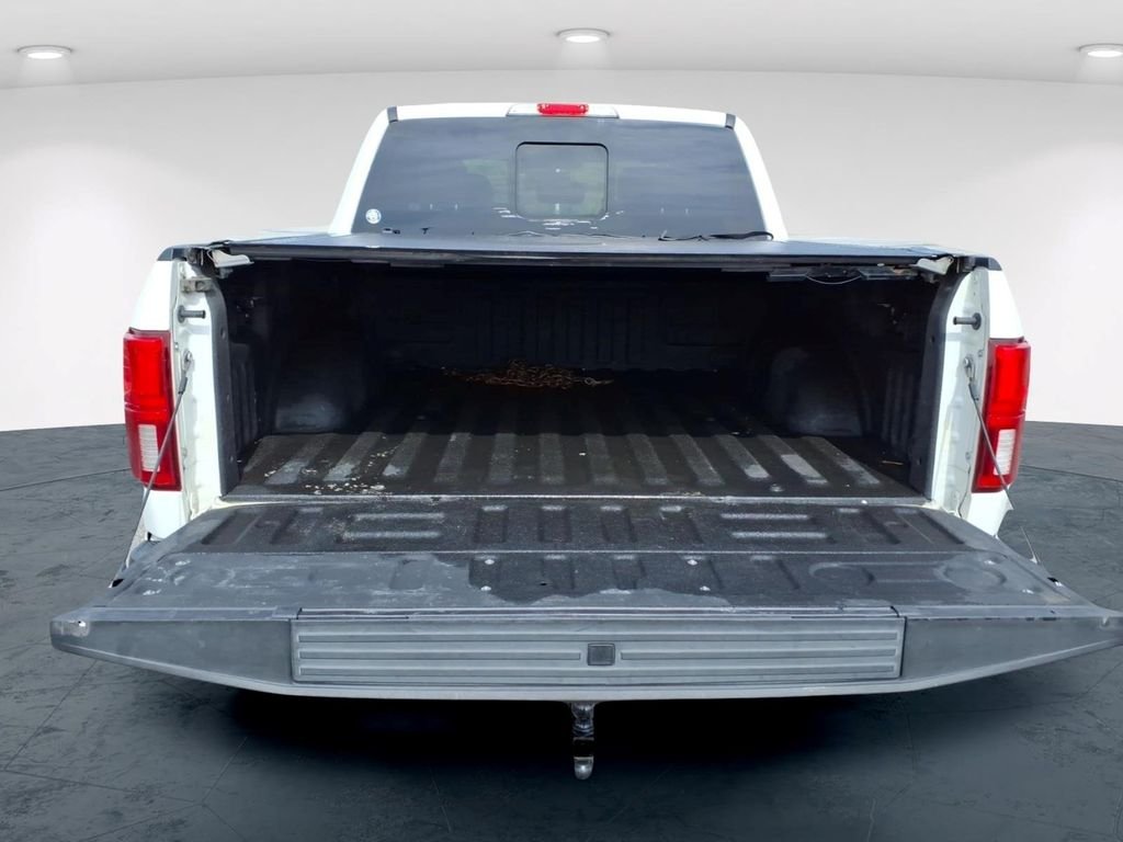 Used 2020 White Ford Platinum image 8
