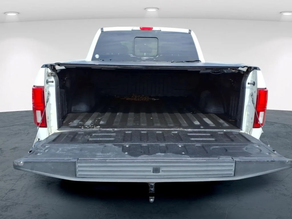 Used 2020 White Ford Platinum image 8