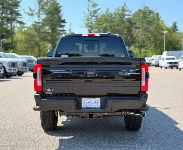 New 2026 Black Ford Platinum image 5