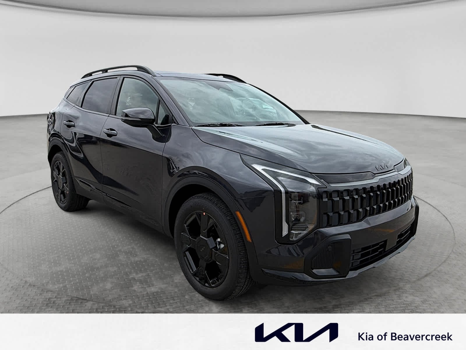 New 2026 Panthera Metal Gray Kia X-Line image 3