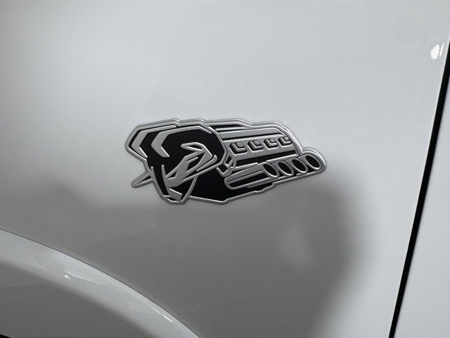 New 2026 White Ram Big Horn/Lone Star image 12
