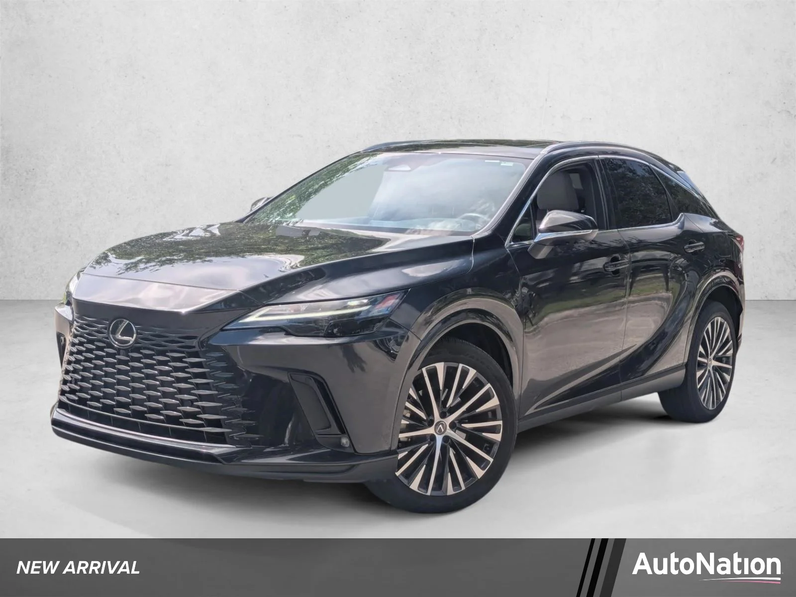 2023 Lexus RX 350 350 Premium Plus FWD's photo