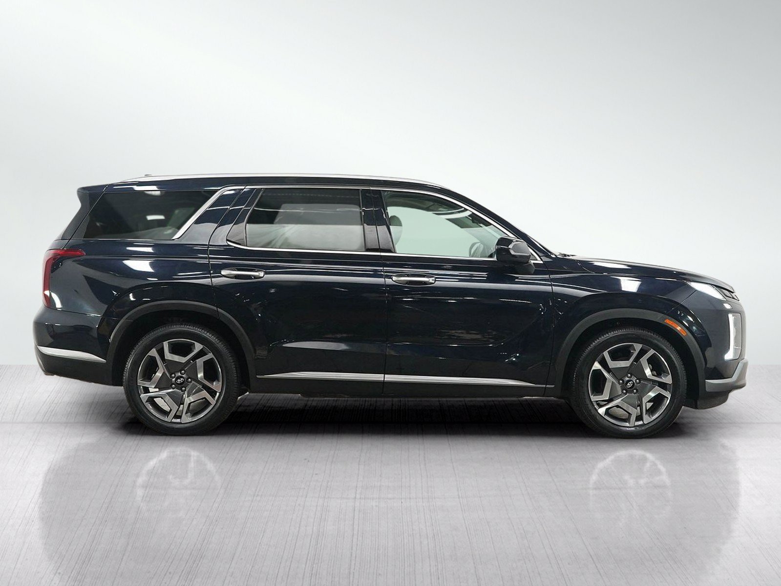 2024 Hyundai Palisade Limited - Photo 6