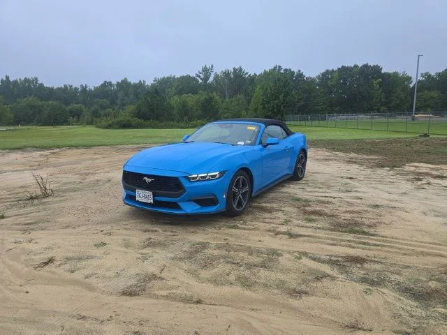 Used 2024 Blue Ford EcoBoost Premium image 2