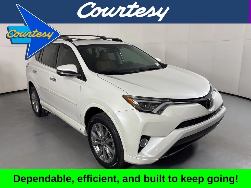 2017 Toyota RAV4 Platinum's photo