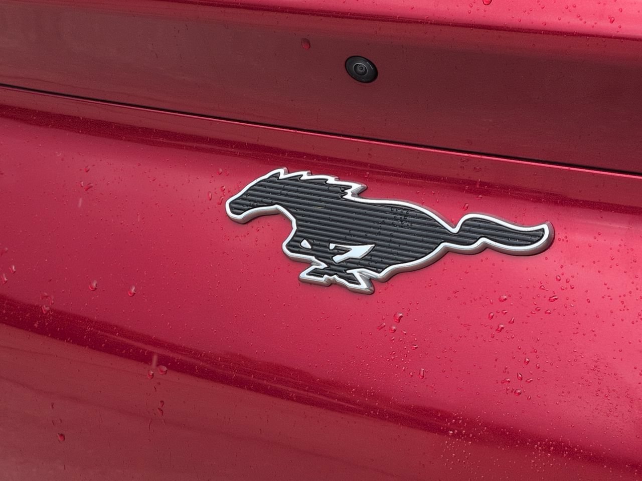 Used 2022 Red Metallic Ford Premium image 33
