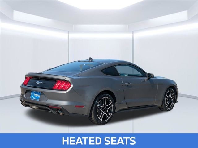 Used 2022 Gray Ford EcoBoost Premium image 6