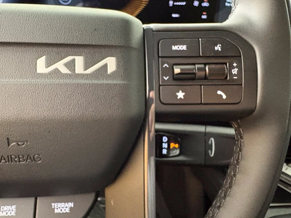 New 2027 Panthera Metal Matte Kia X-Line EX image 27
