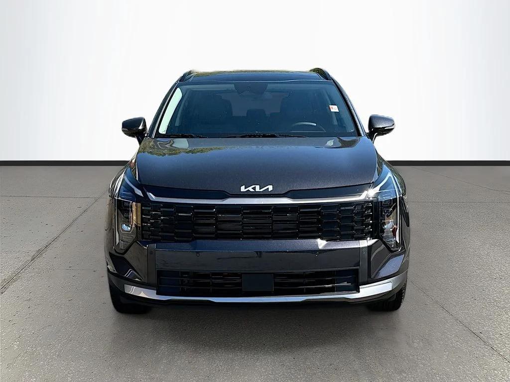 New 2026 Panthera Metal Kia EX image 2