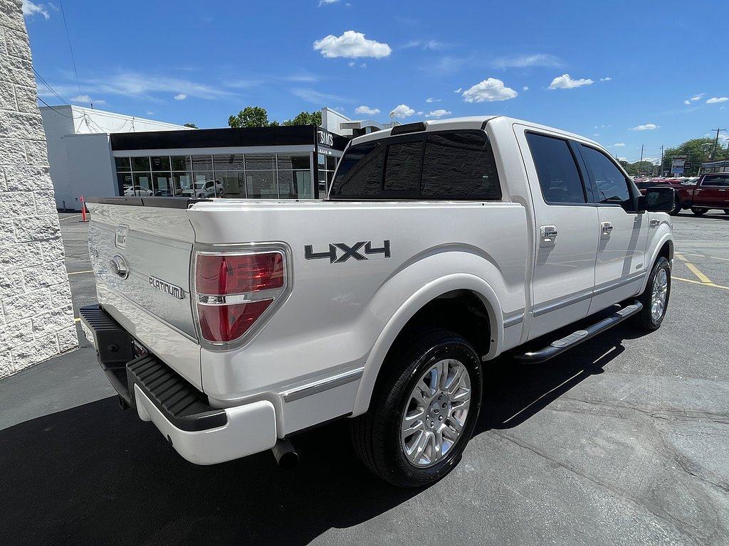 2013 Ford F-150 Platinum - Photo 10