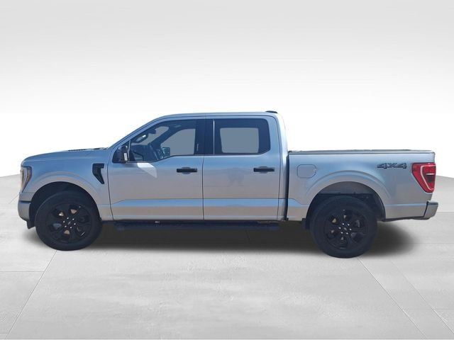 Used 2023 Silver Ford XLT image 4