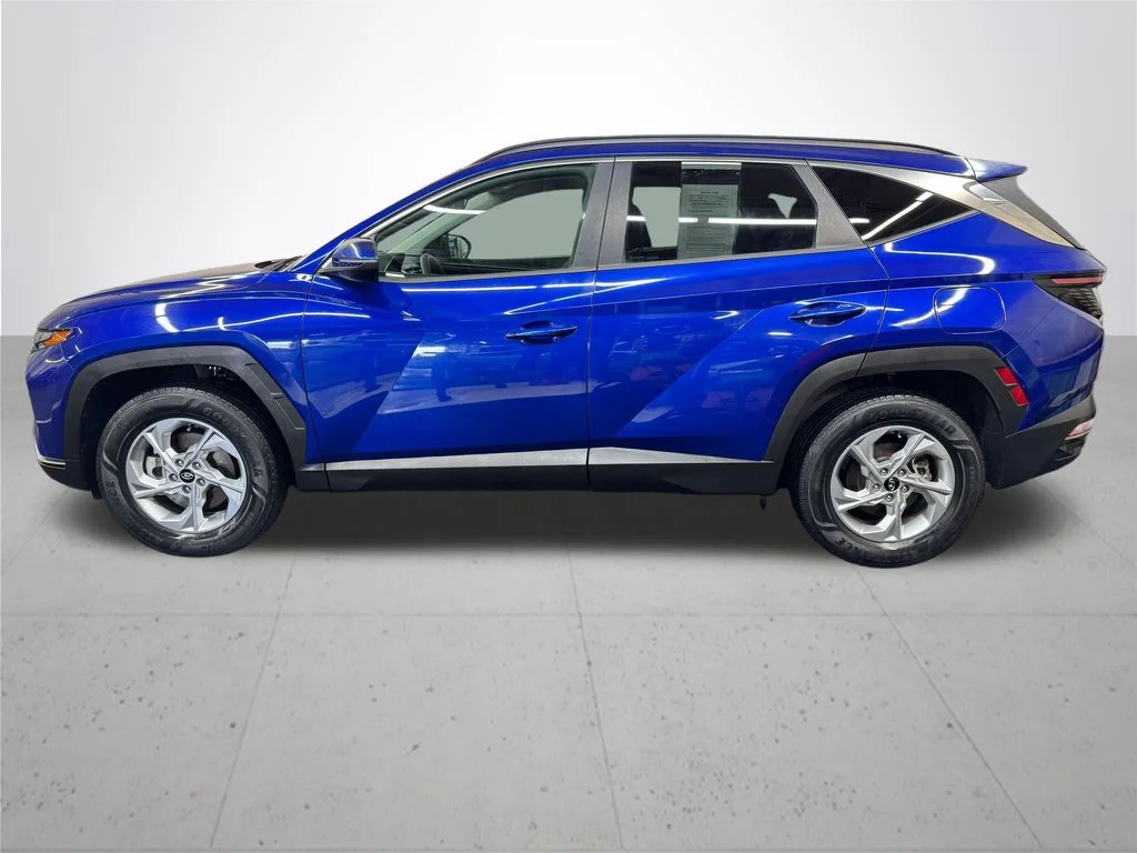 Used 2022 Blue Hyundai SEL image 3