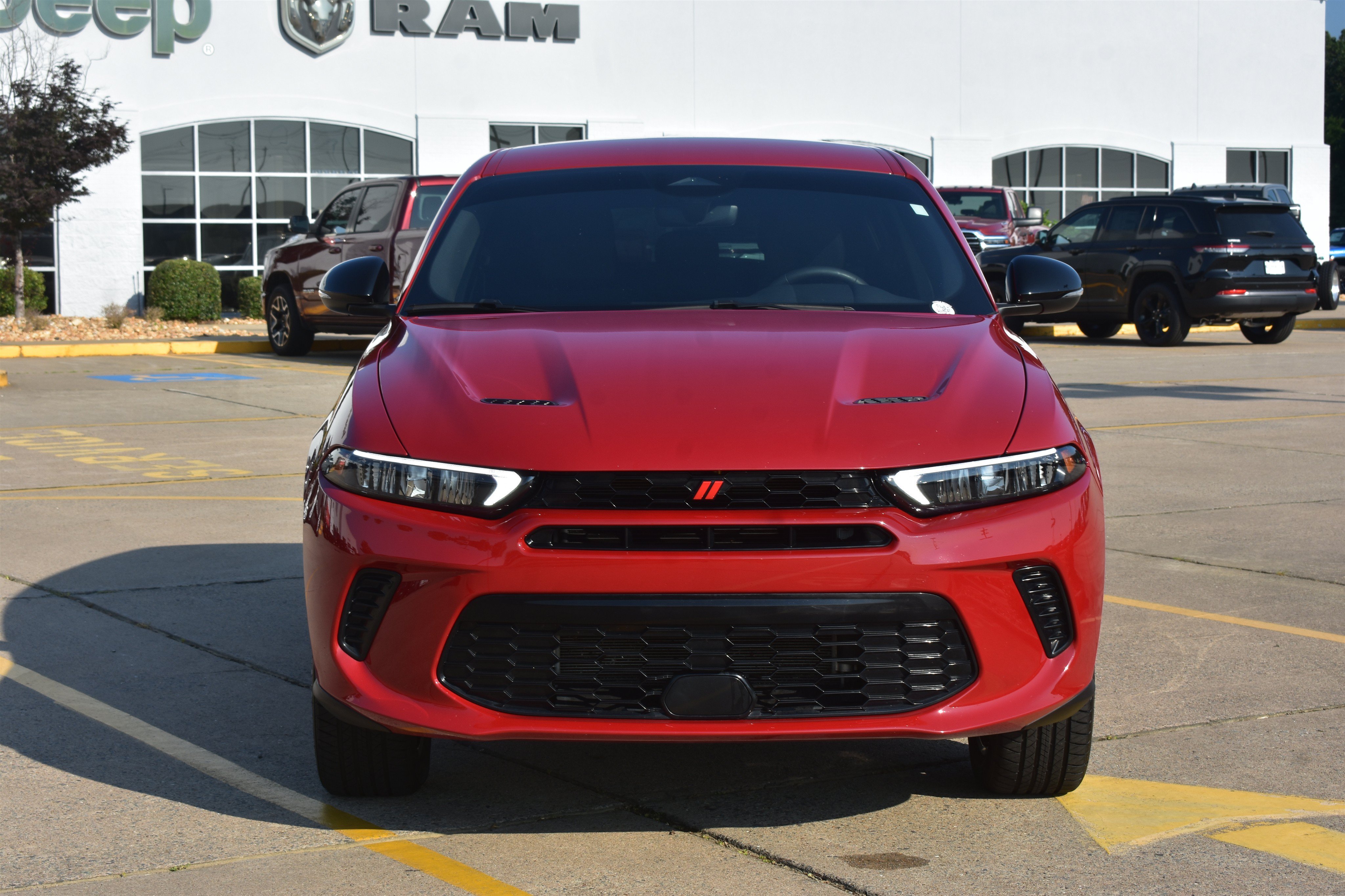 ZACNDFAN7P3A01813