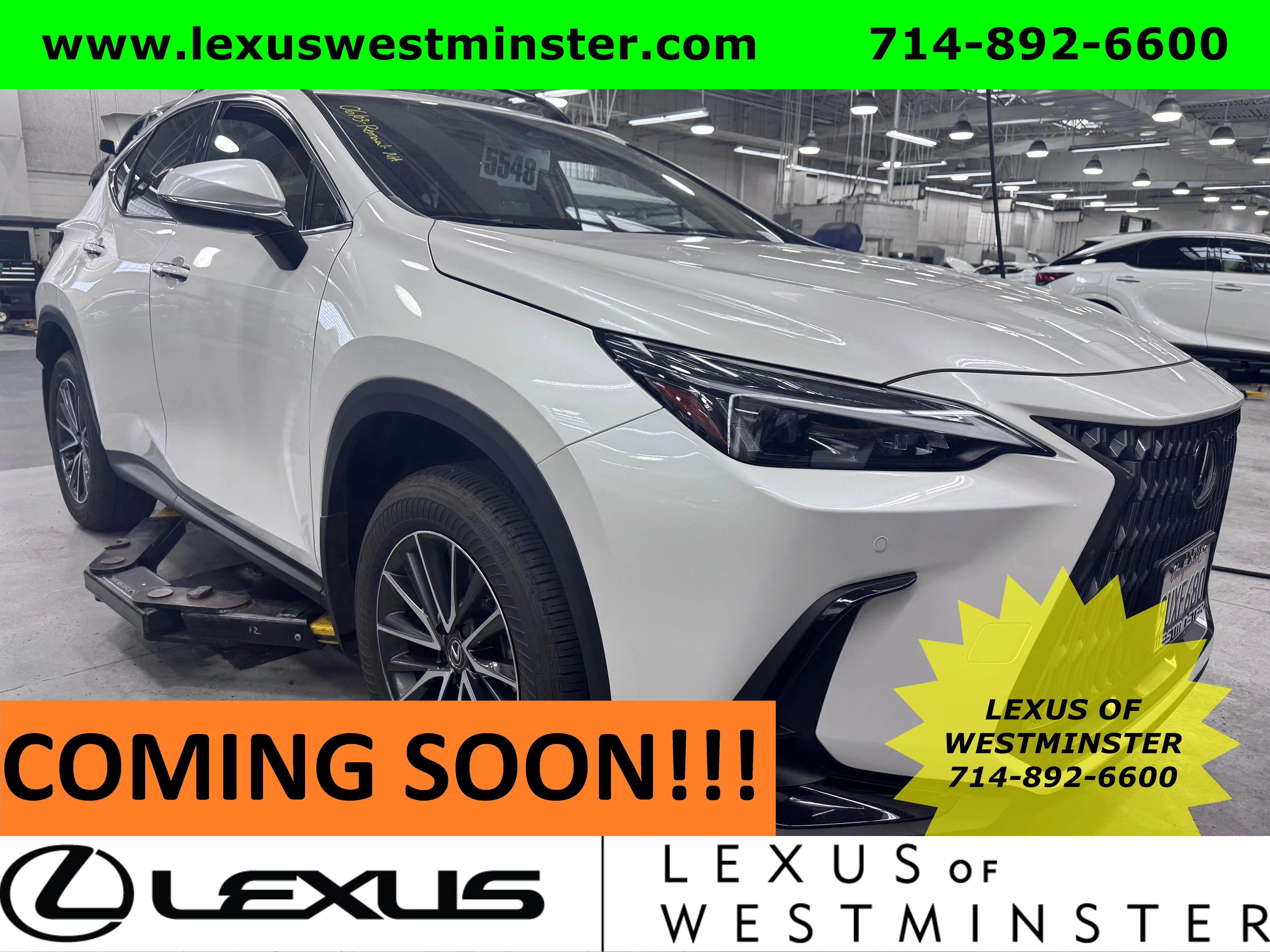 2025 Lexus NX 350h 350h Premium AWD's photo
